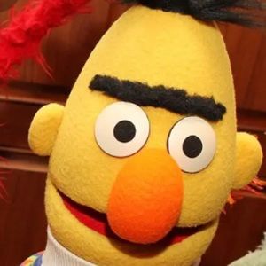 Meet your Posher, Amari